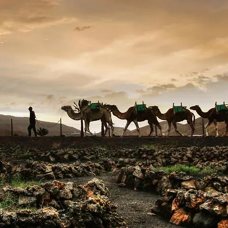 Home2book Bright Casa Rocio Playa Honda, Terrace Apartment