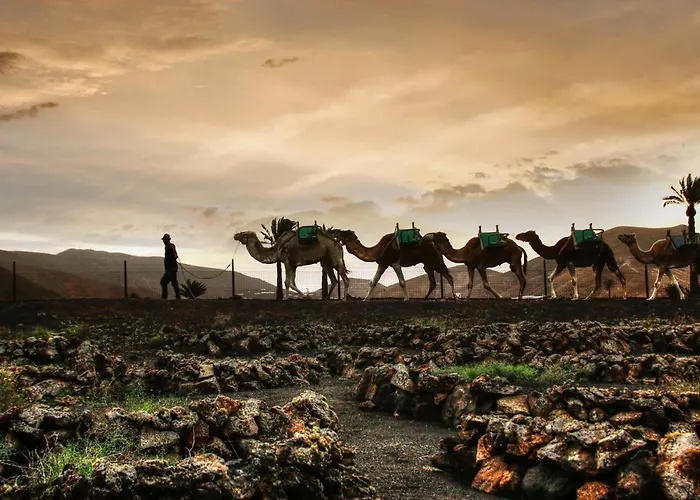 Home2book Bright Casa Rocio Playa Honda, Terrace Lejlighed